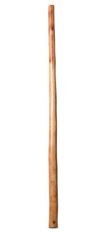 Wix Stix Didgeridoo (WS154)